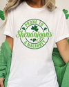 PRONE TO SHENANIGANS TEE (BELLA CANVAS)