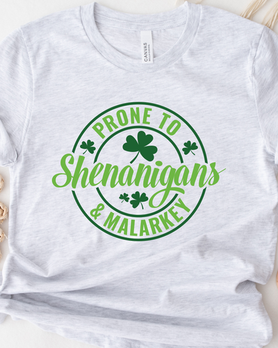 PRONE TO SHENANIGANS TEE (BELLA CANVAS)