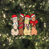 Pack Of Peckers Ornament